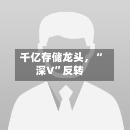 千亿存储龙头，“深V”反转-第3张图片
