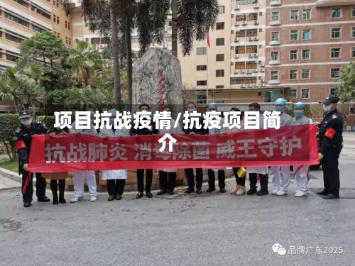 项目抗战疫情/抗疫项目简介-第2张图片