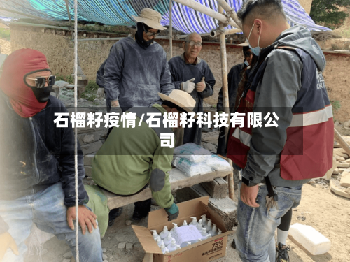 石榴籽疫情/石榴籽科技有限公司-第2张图片