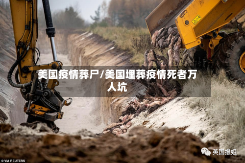 美国疫情葬尸/美国埋葬疫情死者万人坑-第2张图片