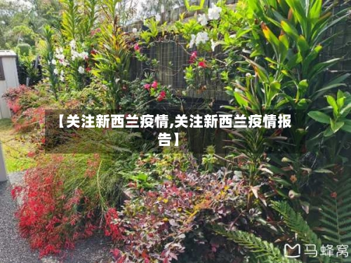 【关注新西兰疫情,关注新西兰疫情报告】-第2张图片