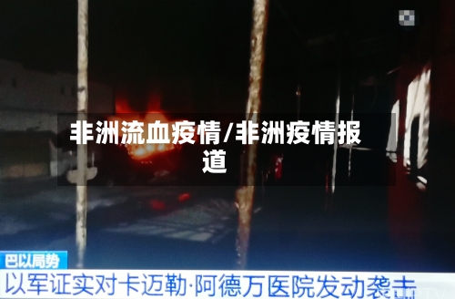 非洲流血疫情/非洲疫情报道