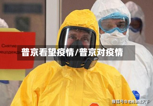 普京看望疫情/普京对疫情