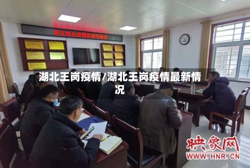 湖北王岗疫情/湖北王岗疫情最新情况-第3张图片