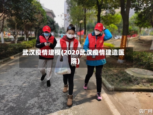 武汉疫情建模(2020武汉疫情建造医院)