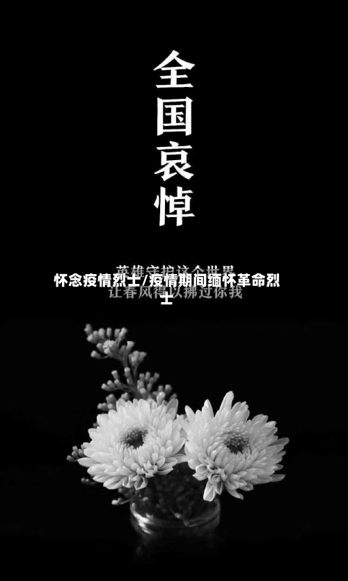 怀念疫情烈士/疫情期间缅怀革命烈士