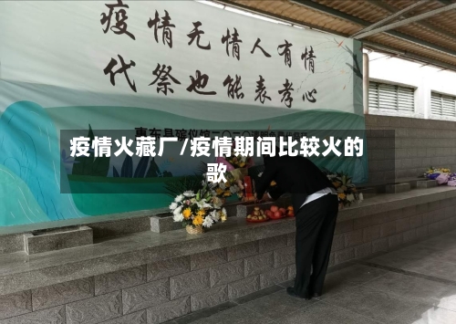 疫情火藏厂/疫情期间比较火的歌