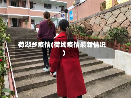 荷湖乡疫情(荷坳疫情最新情况)-第2张图片