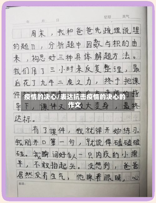 疫情的决心/表达抗击疫情的决心的作文-第2张图片