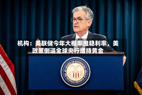 机构：美联储今年大概率维稳利率，美政策倒逼全球央行增持黄金-第3张图片