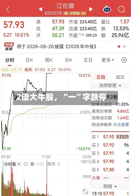 2倍大牛股，“一”字跌停