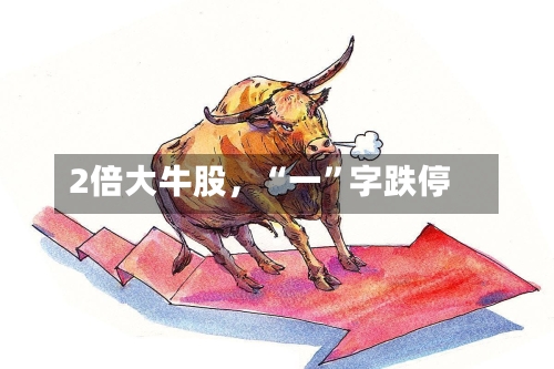 2倍大牛股，“一”字跌停-第3张图片