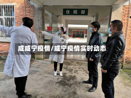 咸咸宁疫情/咸宁疫情实时动态